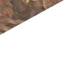 Yandi2_map_tiler preview